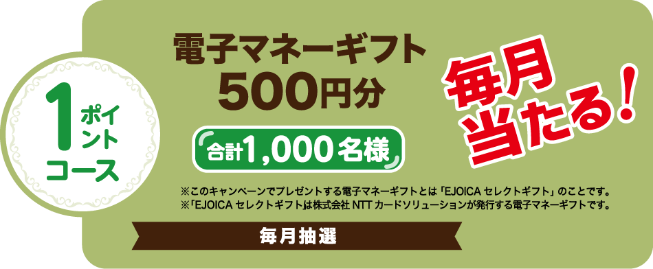 1ポイントコース 電子マネーギフト500円分